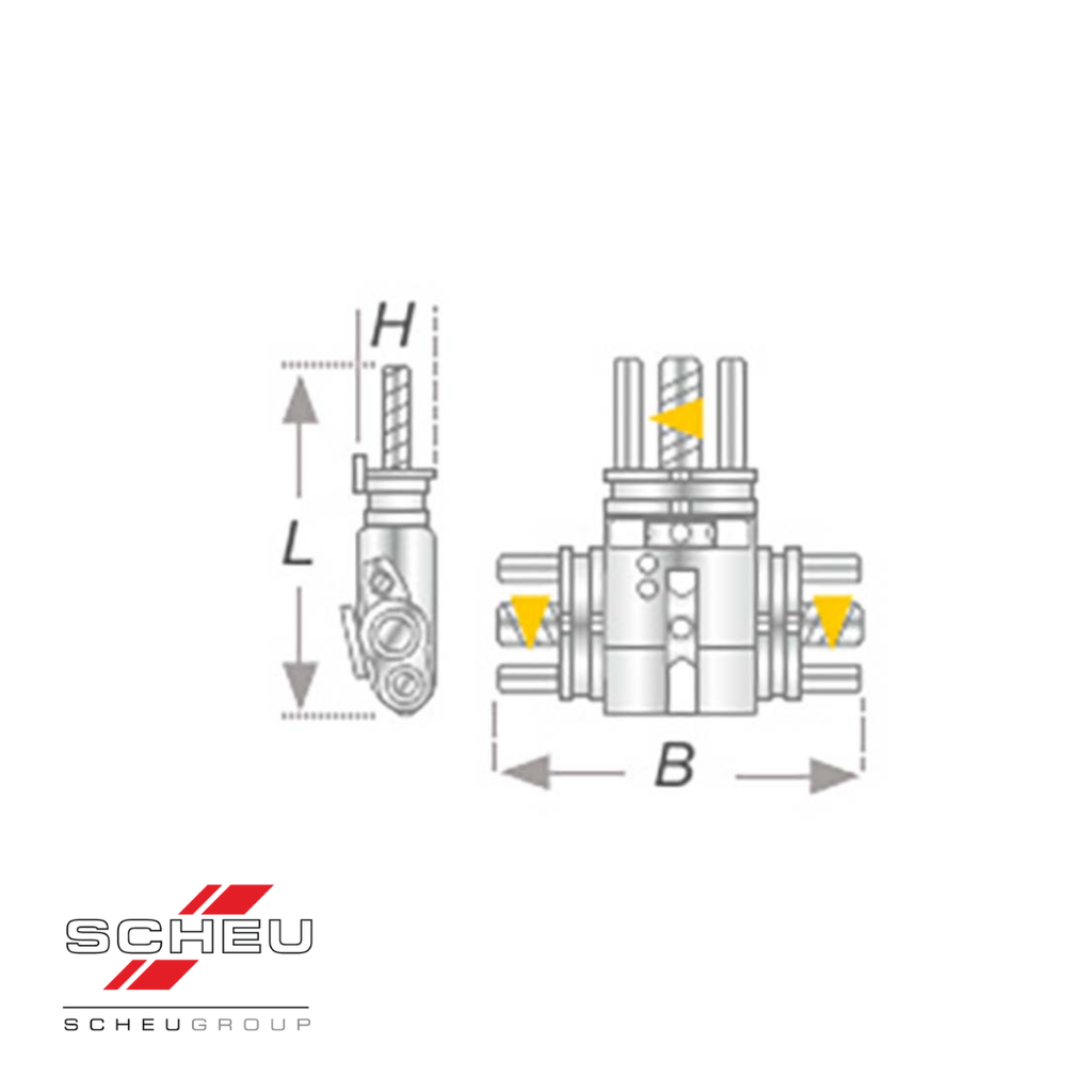 VECTOR 720 acc. to Bertoni